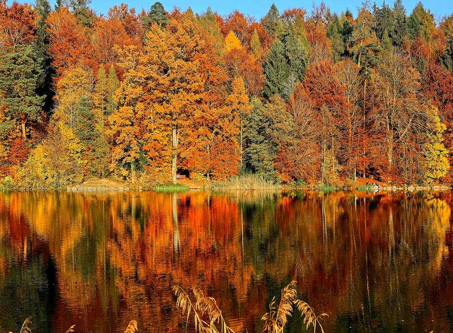 Fall Into a Coverage Review: Preparing Your Nonprofit for the Season Ahead